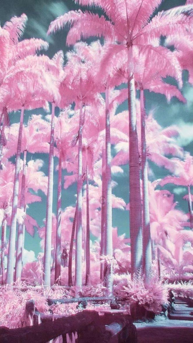 沪江开心词场